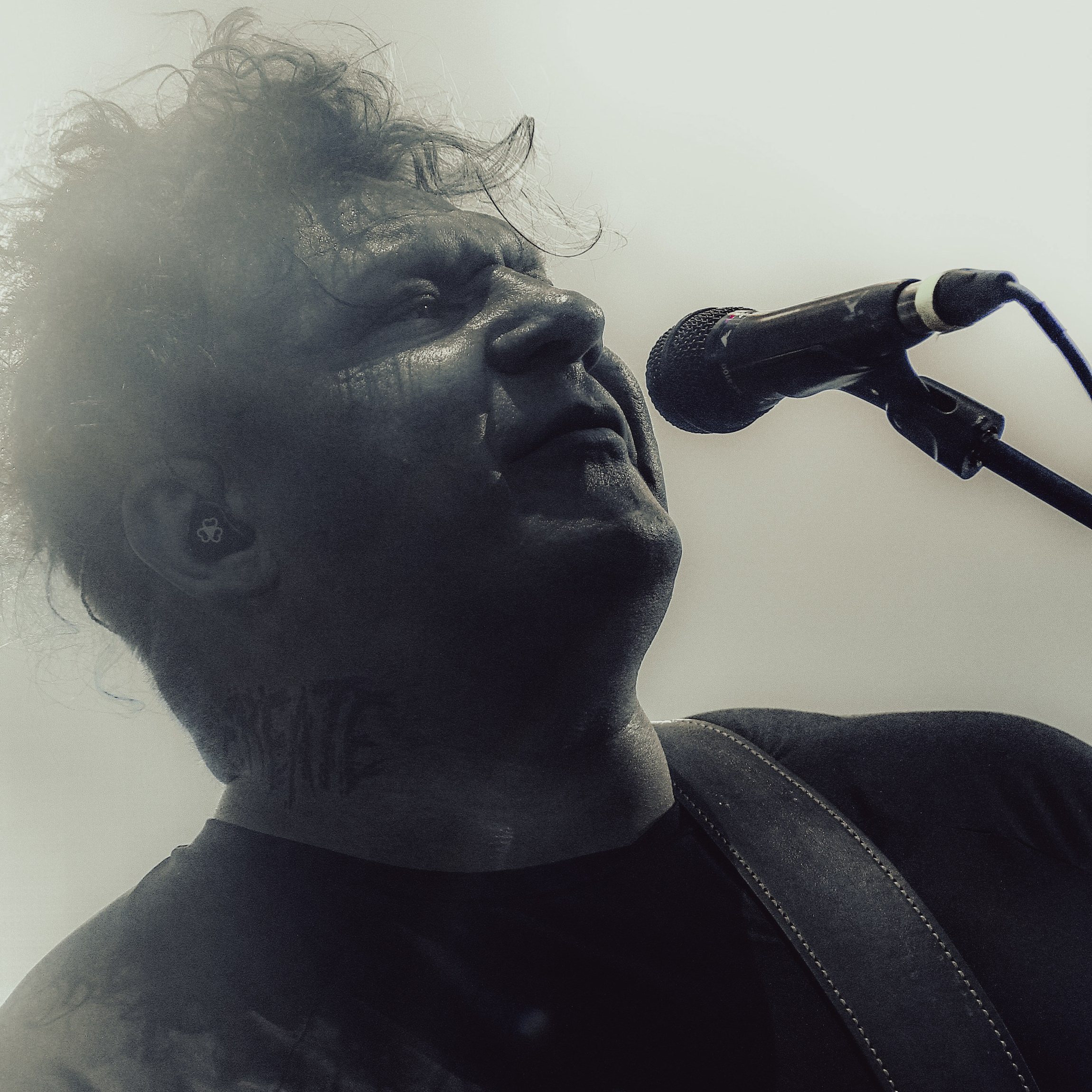 ренегат северный флот 