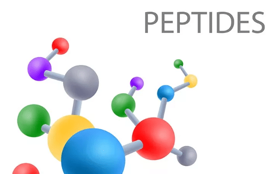 Что такое пептиды простым языком. Сово-Сово — Омоложение и оздоровление!