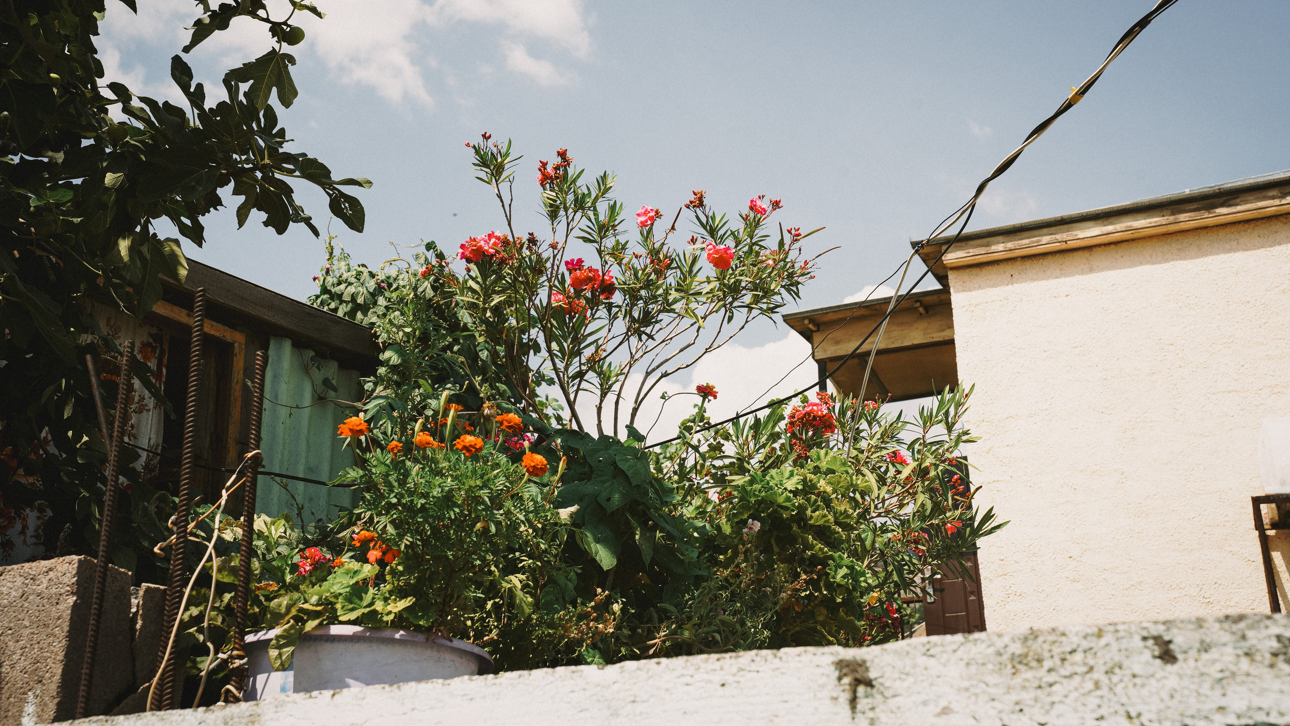 Крым. Фотограф из Москвы — DASHA NOVA | Авторская фотография в разных жанрах