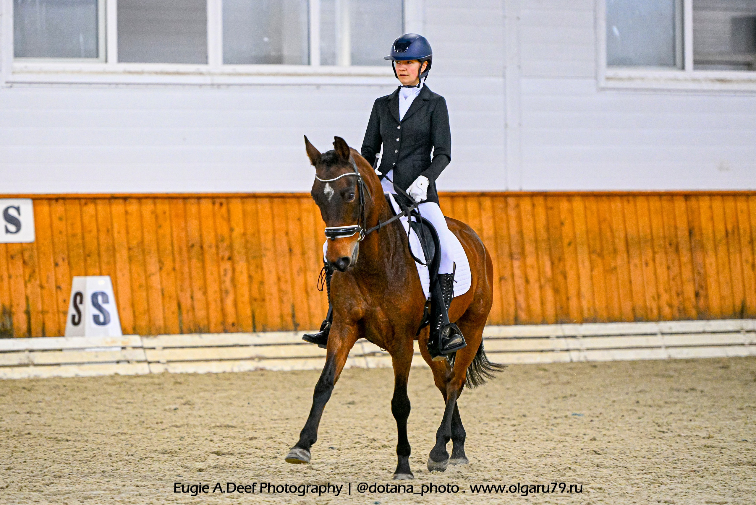 2025.10.19 — КСК Конкорд — выездка. ТУРНИРНАЯ КОННАЯ ФОТОГРАФИЯ, Руднева Ольга и Евгений Адеев