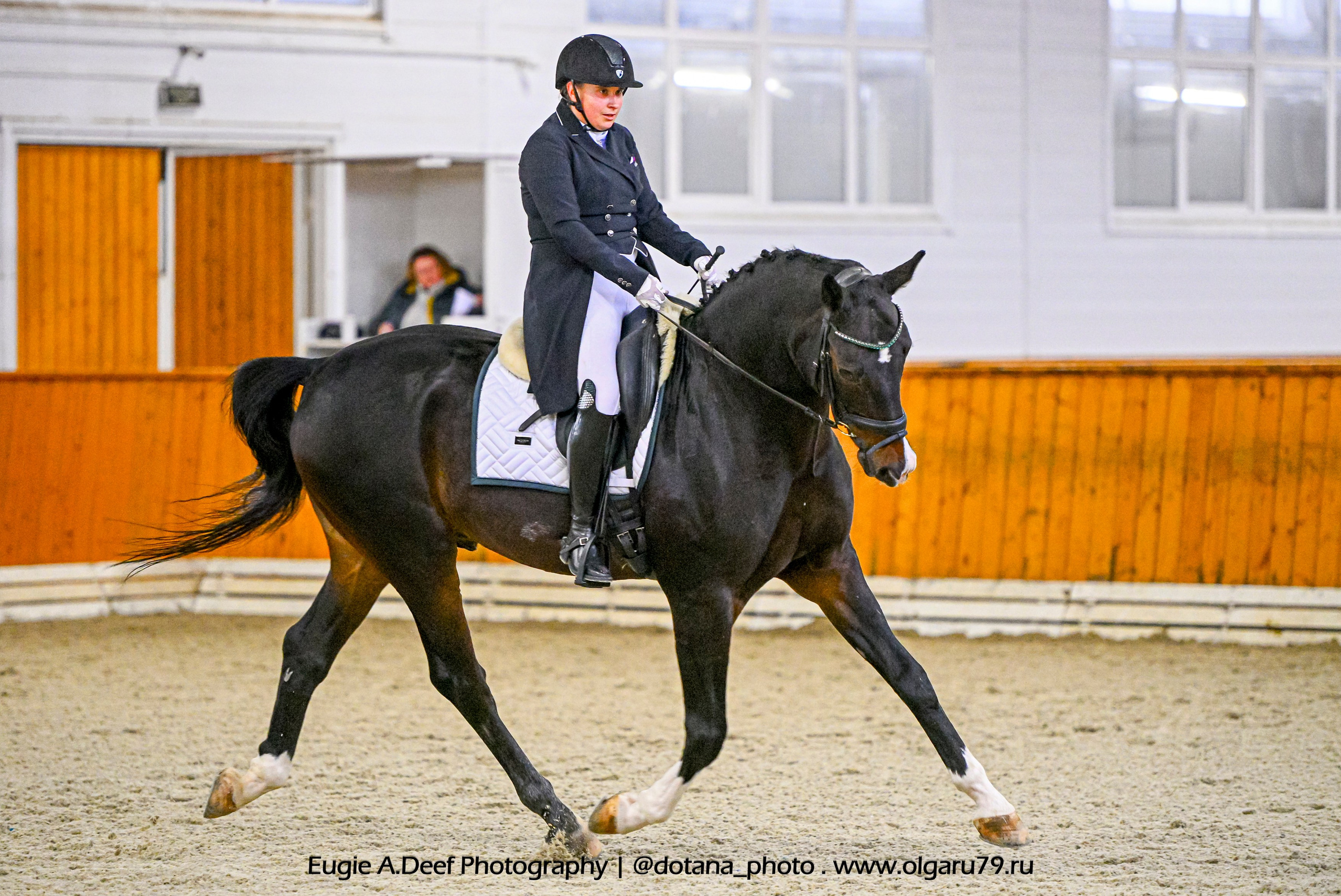 2025.10.19 — КСК Конкорд — выездка. ТУРНИРНАЯ КОННАЯ ФОТОГРАФИЯ, Руднева Ольга и Евгений Адеев