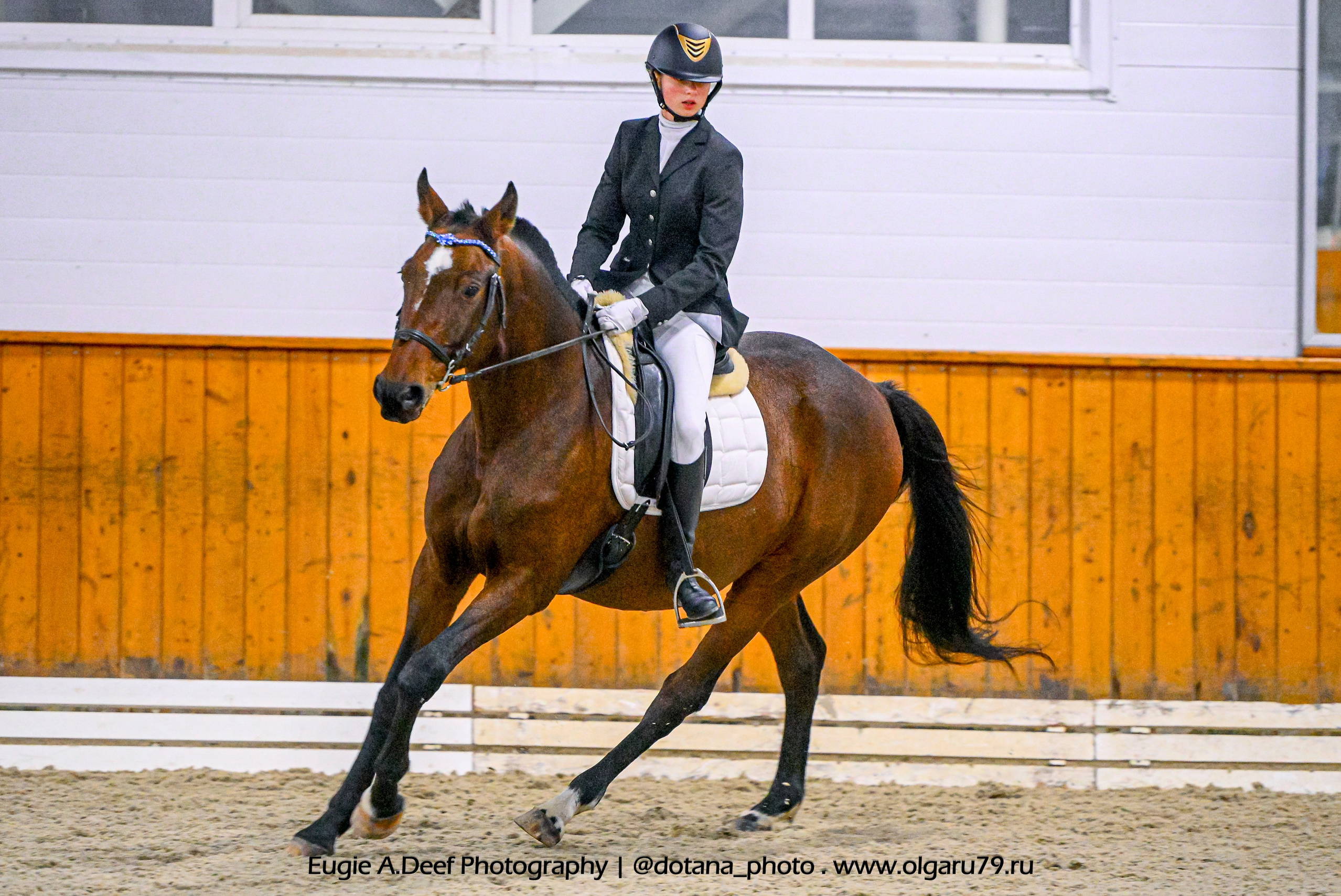 2025.10.19 — КСК Конкорд — выездка. ТУРНИРНАЯ КОННАЯ ФОТОГРАФИЯ, Руднева Ольга и Евгений Адеев