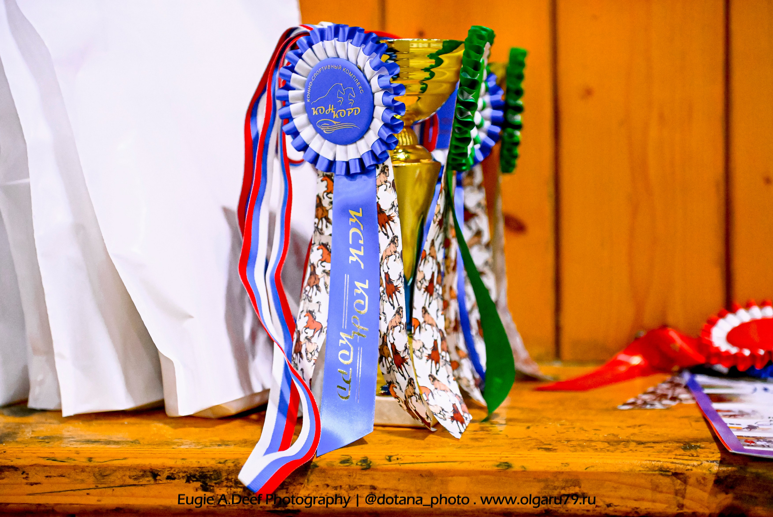 2025.10.19 — КСК Конкорд — выездка. ТУРНИРНАЯ КОННАЯ ФОТОГРАФИЯ, Руднева Ольга и Евгений Адеев