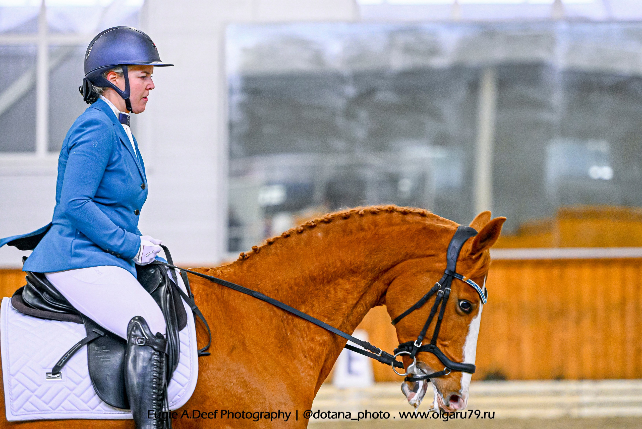 2025.10.19 — КСК Конкорд — выездка. ТУРНИРНАЯ КОННАЯ ФОТОГРАФИЯ, Руднева Ольга и Евгений Адеев