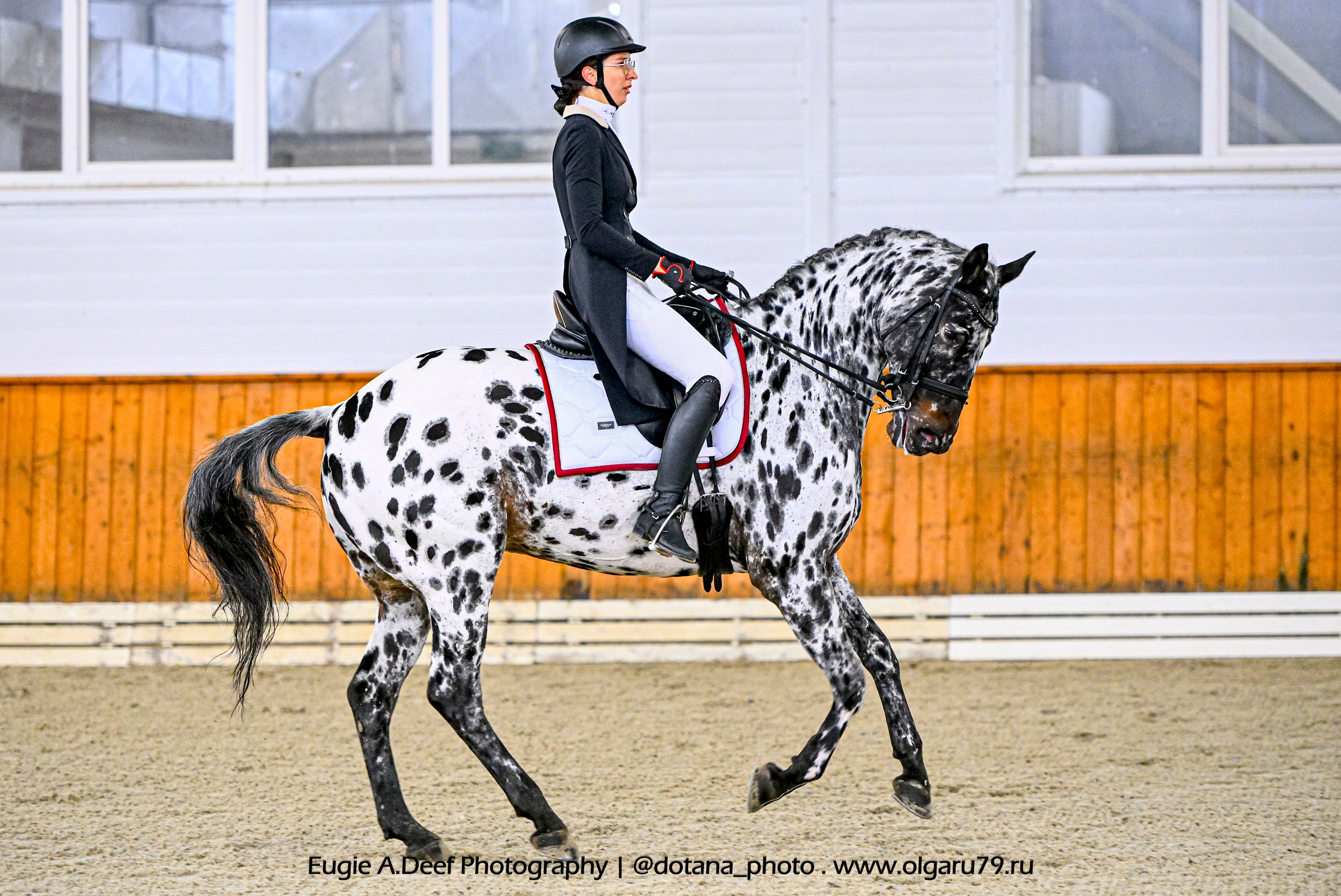 2025.10.19 — КСК Конкорд — выездка. ТУРНИРНАЯ КОННАЯ ФОТОГРАФИЯ, Руднева Ольга и Евгений Адеев