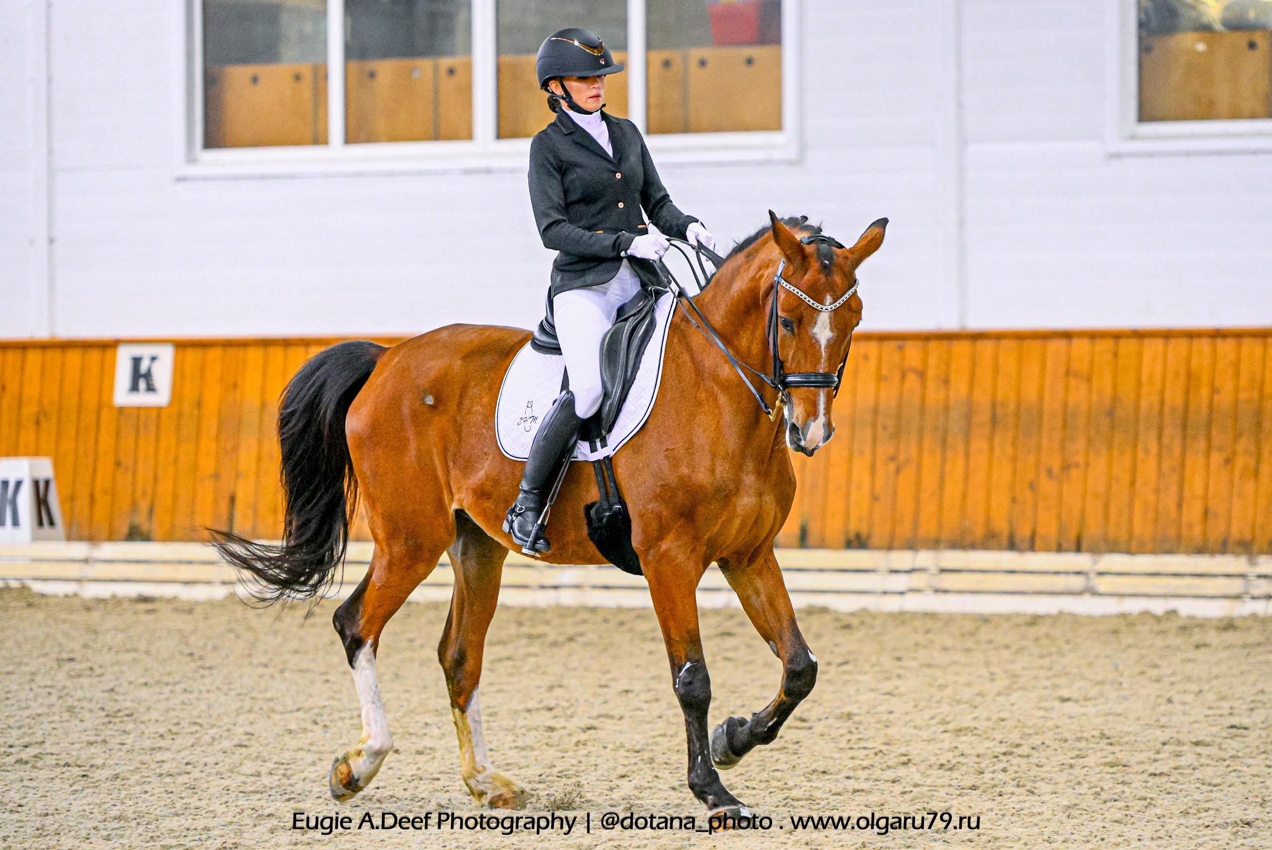 2025.10.19 — КСК Конкорд — выездка. ТУРНИРНАЯ КОННАЯ ФОТОГРАФИЯ, Руднева Ольга и Евгений Адеев