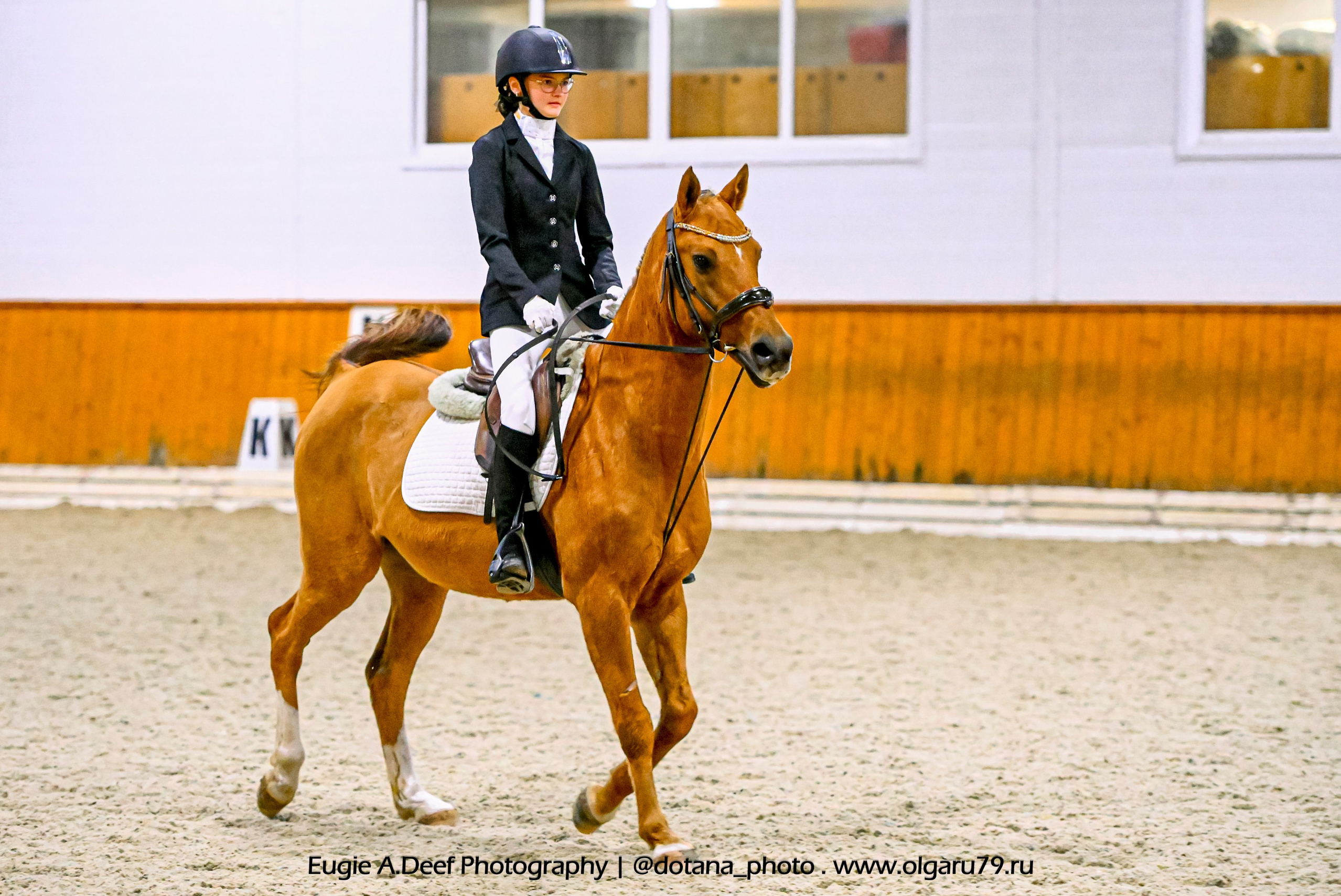 2025.10.19 — КСК Конкорд — выездка. ТУРНИРНАЯ КОННАЯ ФОТОГРАФИЯ, Руднева Ольга и Евгений Адеев
