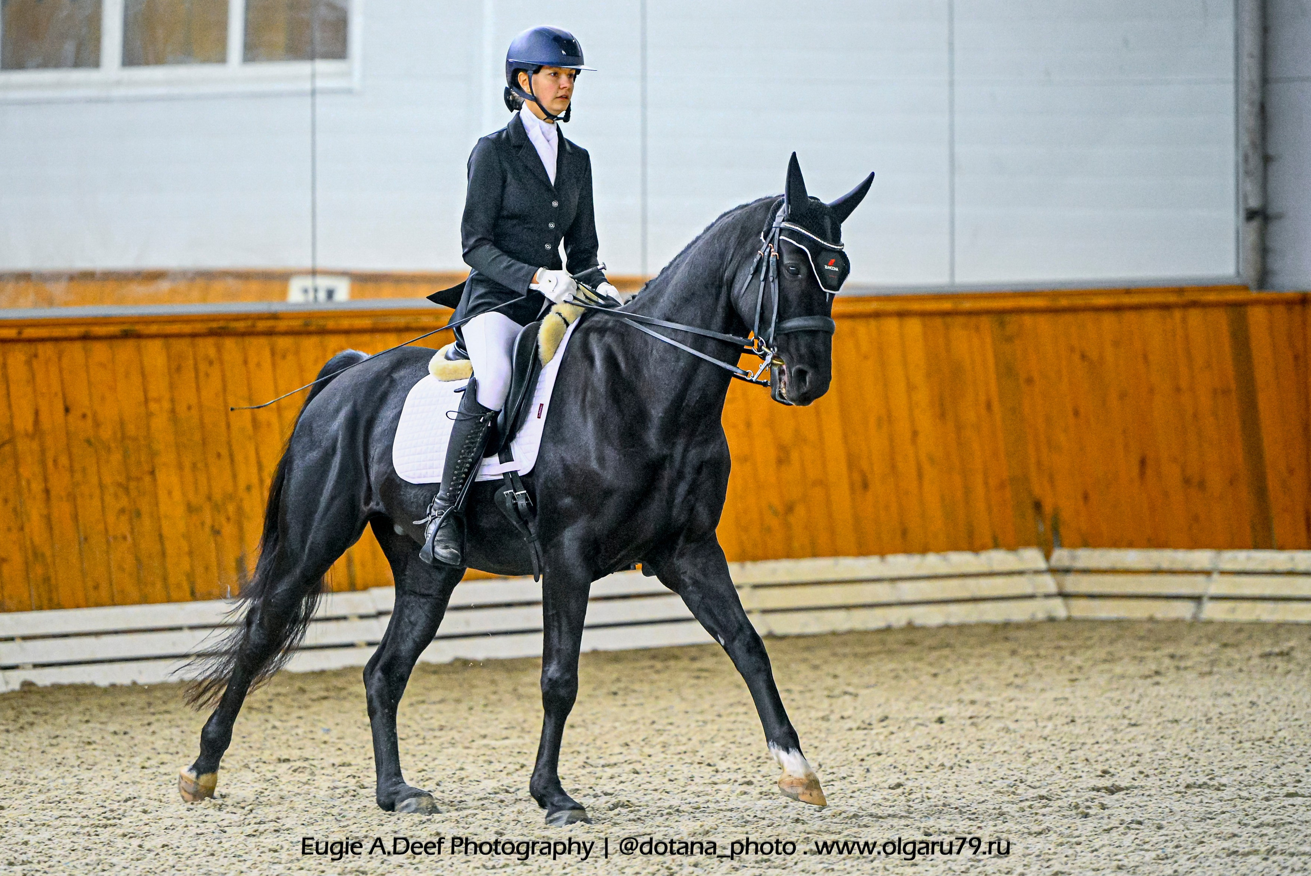 2025.10.19 — КСК Конкорд — выездка. ТУРНИРНАЯ КОННАЯ ФОТОГРАФИЯ, Руднева Ольга и Евгений Адеев