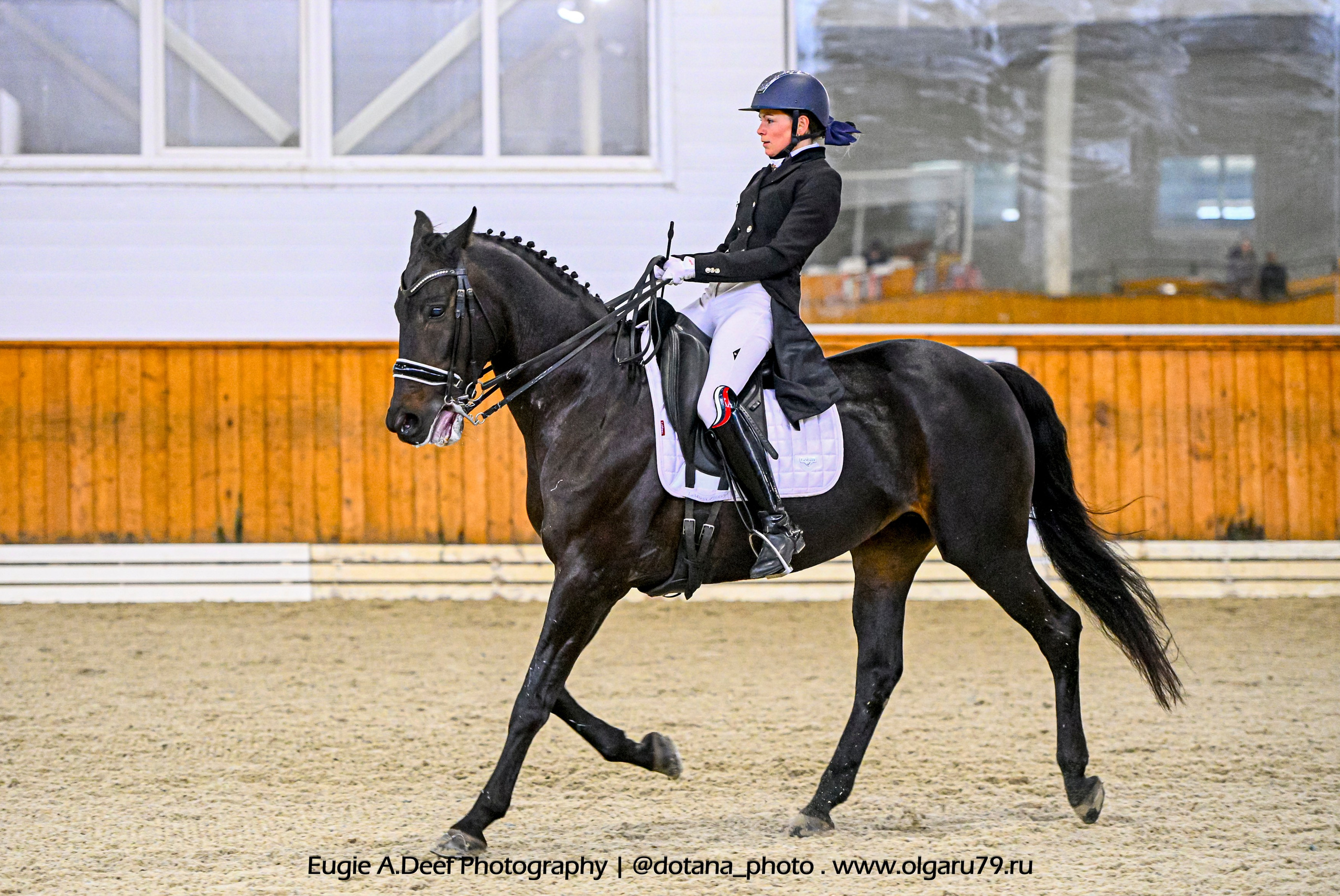 2025.10.19 — КСК Конкорд — выездка. ТУРНИРНАЯ КОННАЯ ФОТОГРАФИЯ, Руднева Ольга и Евгений Адеев