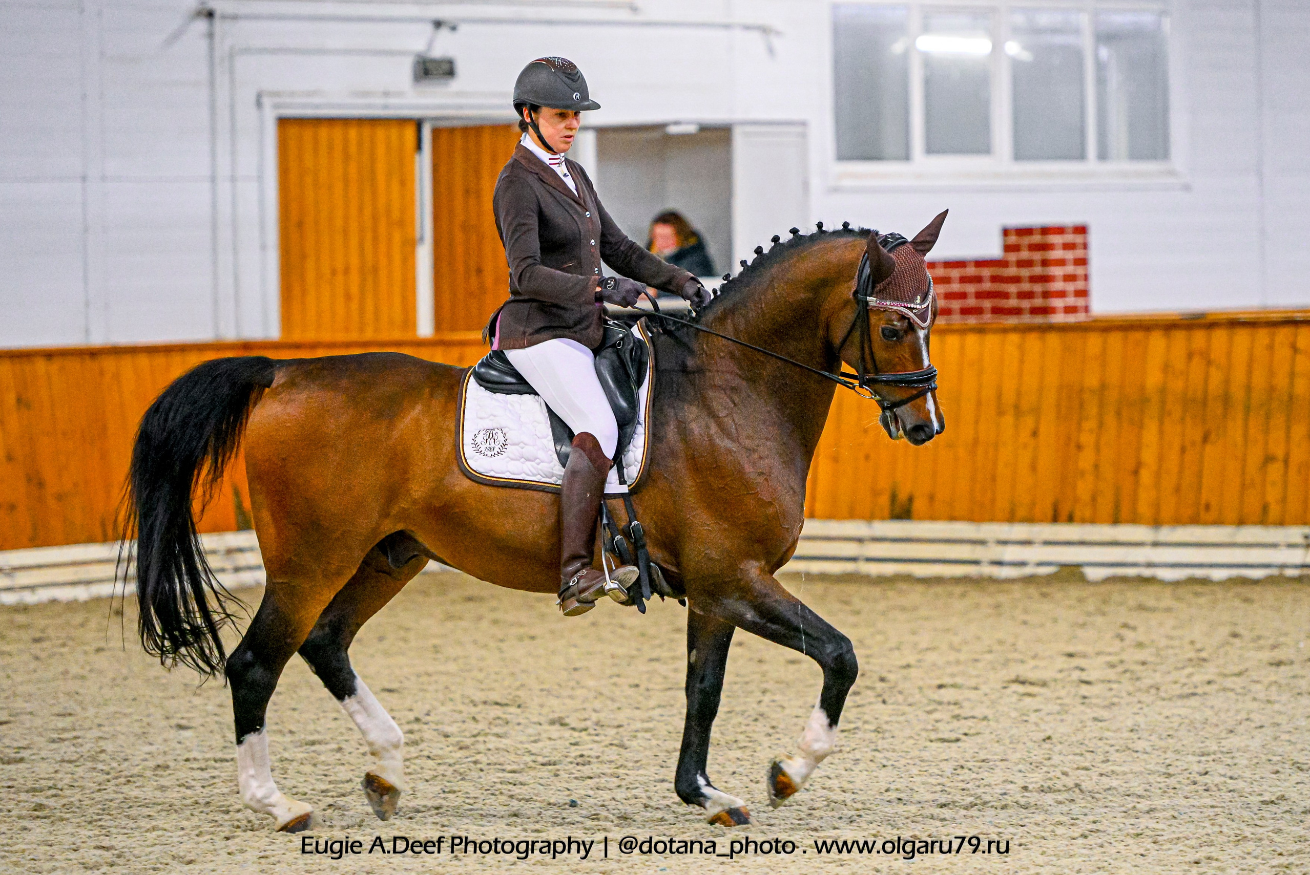 2025.10.19 — КСК Конкорд — выездка. ТУРНИРНАЯ КОННАЯ ФОТОГРАФИЯ, Руднева Ольга и Евгений Адеев