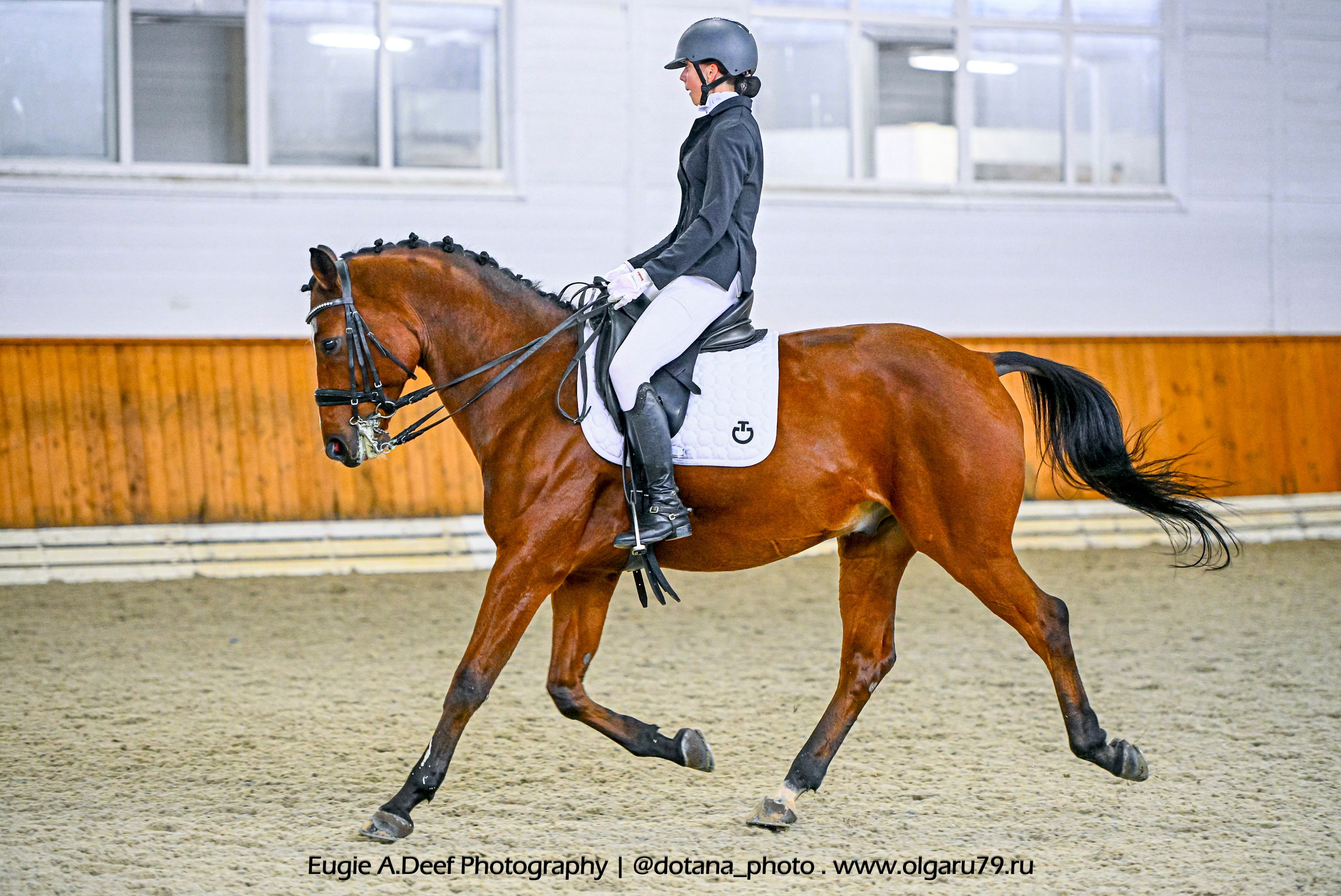 2025.10.19 — КСК Конкорд — выездка. ТУРНИРНАЯ КОННАЯ ФОТОГРАФИЯ, Руднева Ольга и Евгений Адеев