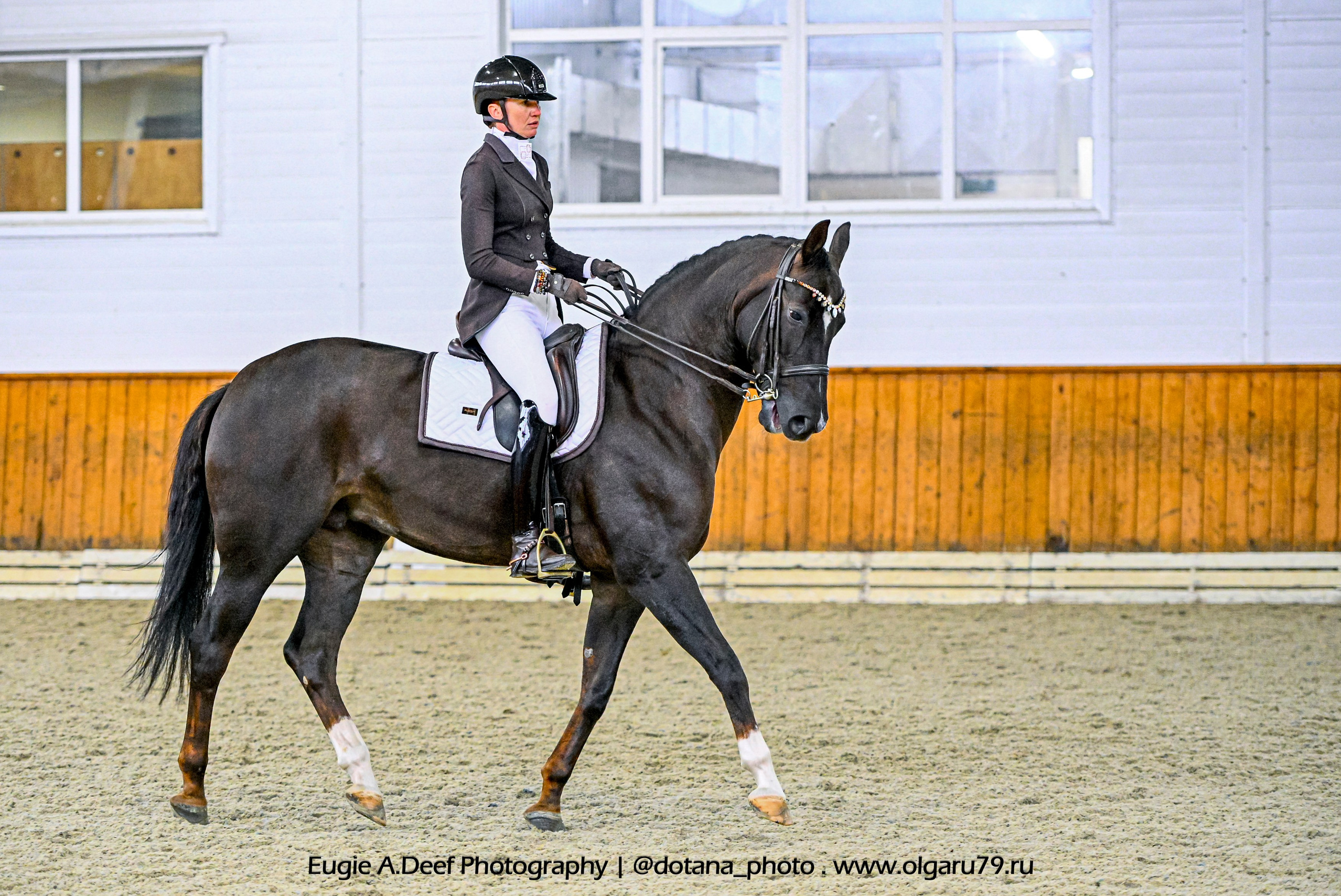 2025.10.19 — КСК Конкорд — выездка. ТУРНИРНАЯ КОННАЯ ФОТОГРАФИЯ, Руднева Ольга и Евгений Адеев