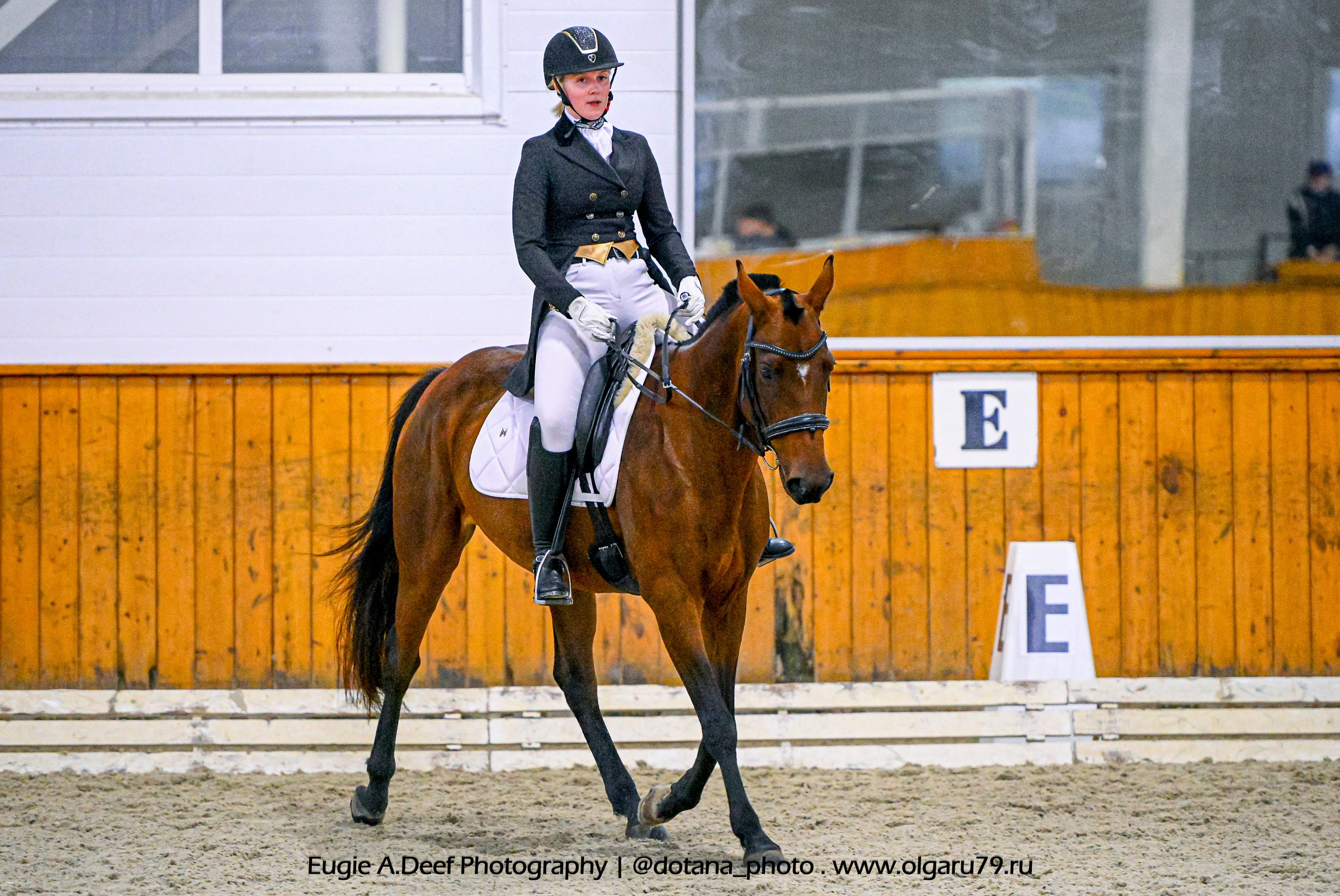 2025.10.19 — КСК Конкорд — выездка. ТУРНИРНАЯ КОННАЯ ФОТОГРАФИЯ, Руднева Ольга и Евгений Адеев