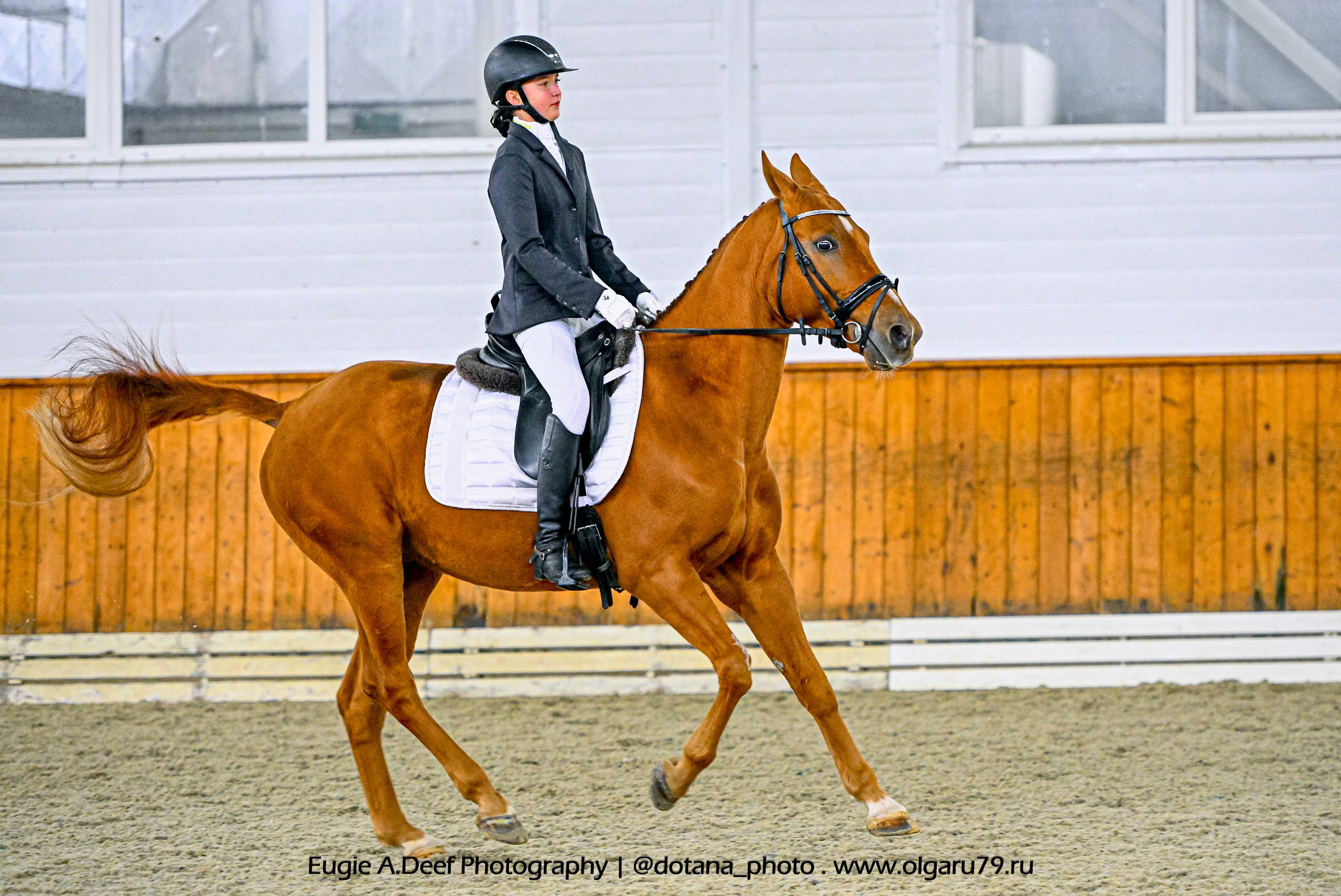 2025.10.19 — КСК Конкорд — выездка. ТУРНИРНАЯ КОННАЯ ФОТОГРАФИЯ, Руднева Ольга и Евгений Адеев