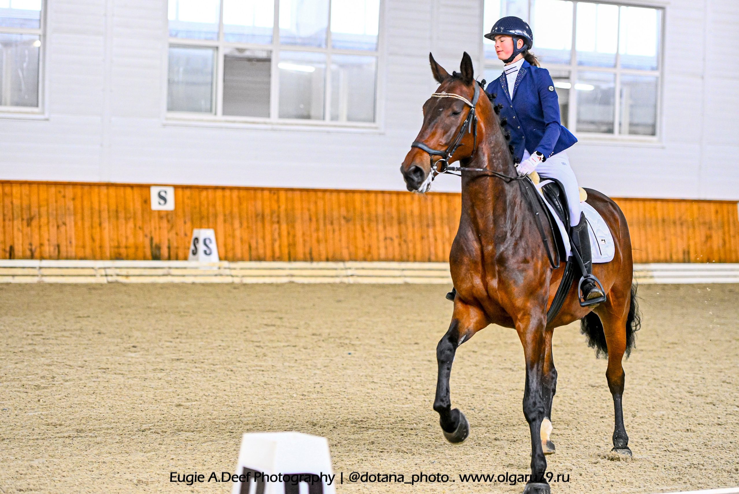 2025.10.19 — КСК Конкорд — выездка. ТУРНИРНАЯ КОННАЯ ФОТОГРАФИЯ, Руднева Ольга и Евгений Адеев