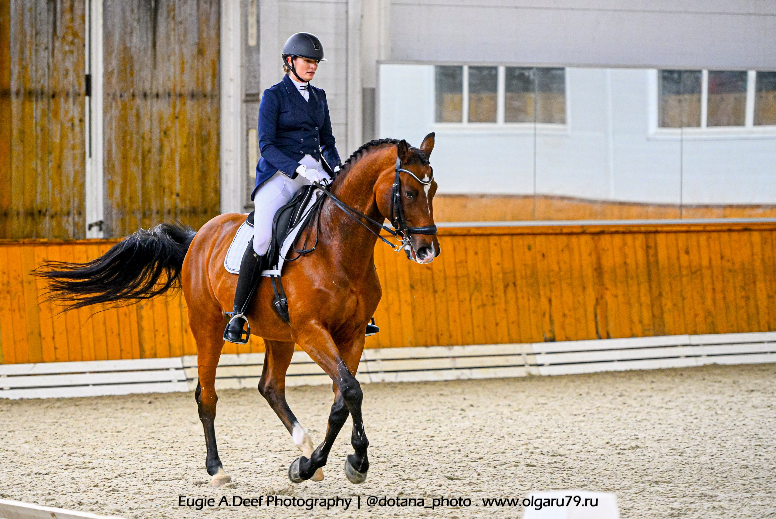 2025.10.19 — КСК Конкорд — выездка. ТУРНИРНАЯ КОННАЯ ФОТОГРАФИЯ, Руднева Ольга и Евгений Адеев