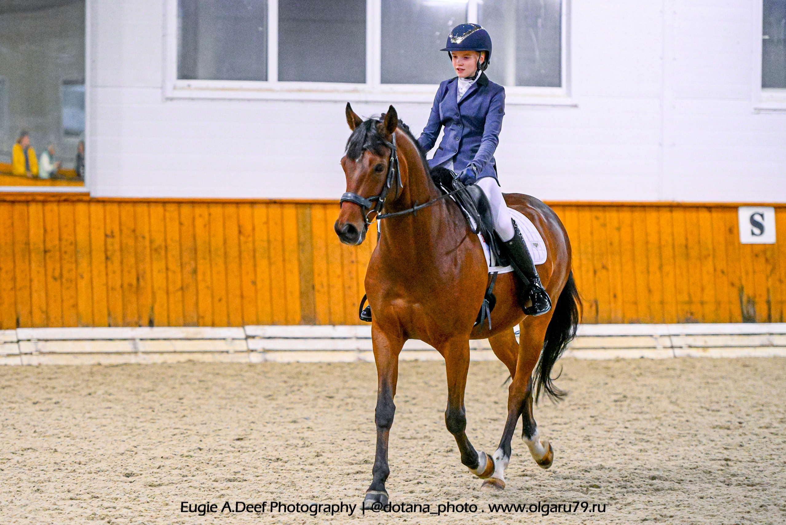2025.10.19 — КСК Конкорд — выездка. ТУРНИРНАЯ КОННАЯ ФОТОГРАФИЯ, Руднева Ольга и Евгений Адеев