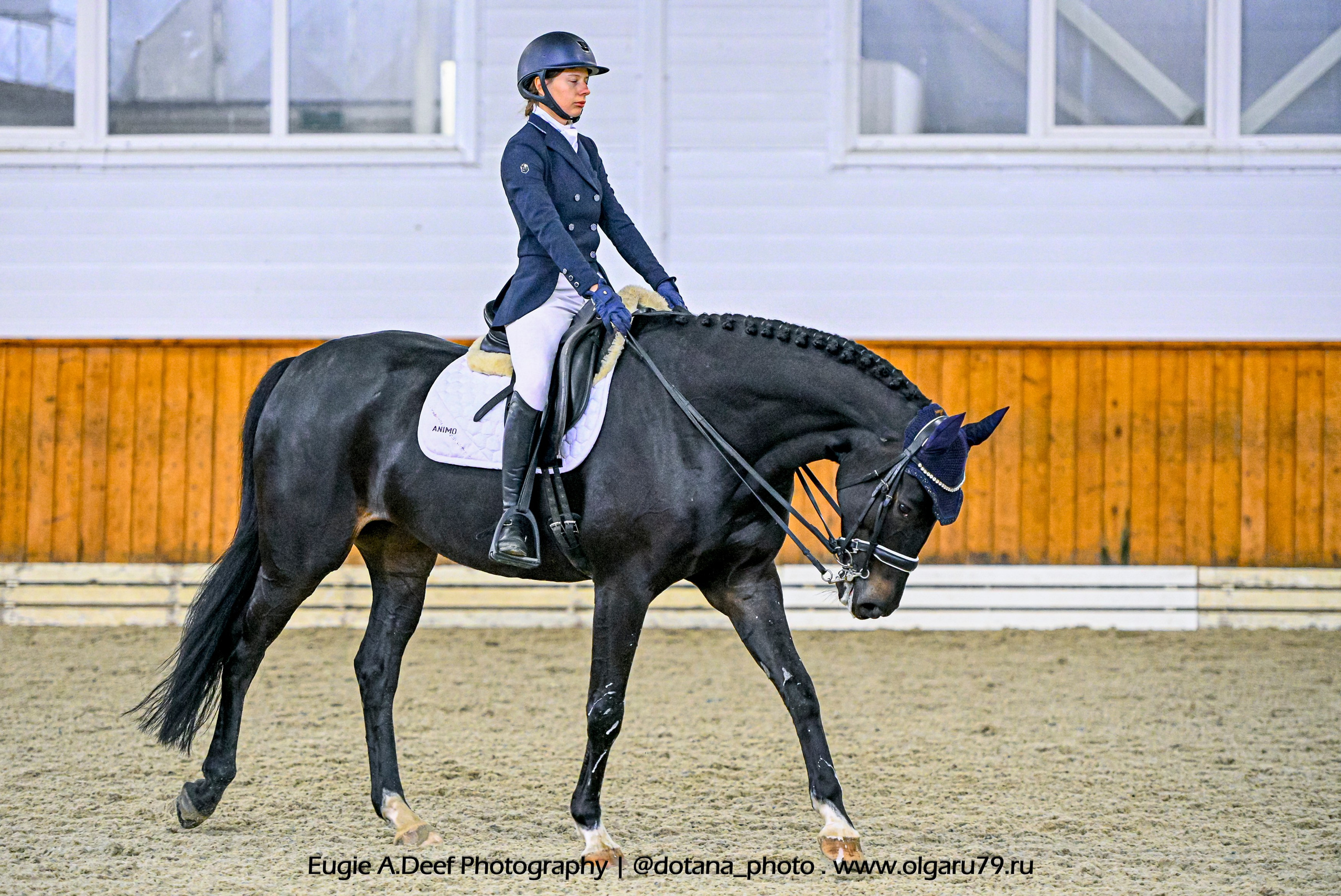 2025.10.19 — КСК Конкорд — выездка. ТУРНИРНАЯ КОННАЯ ФОТОГРАФИЯ, Руднева Ольга и Евгений Адеев