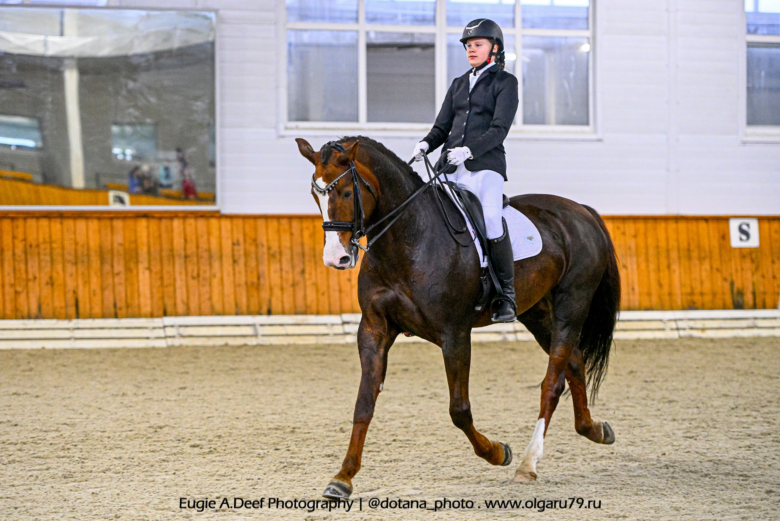 2025.10.19 — КСК Конкорд — выездка. ТУРНИРНАЯ КОННАЯ ФОТОГРАФИЯ, Руднева Ольга и Евгений Адеев