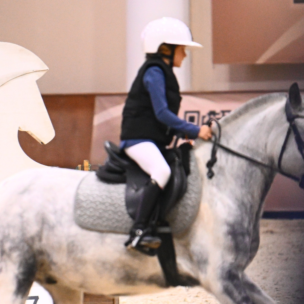 2025.10.25 — КСК Виват, Россия!. ТУРНИРНАЯ КОННАЯ ФОТОГРАФИЯ, Руднева Ольга и Евгений Адеев