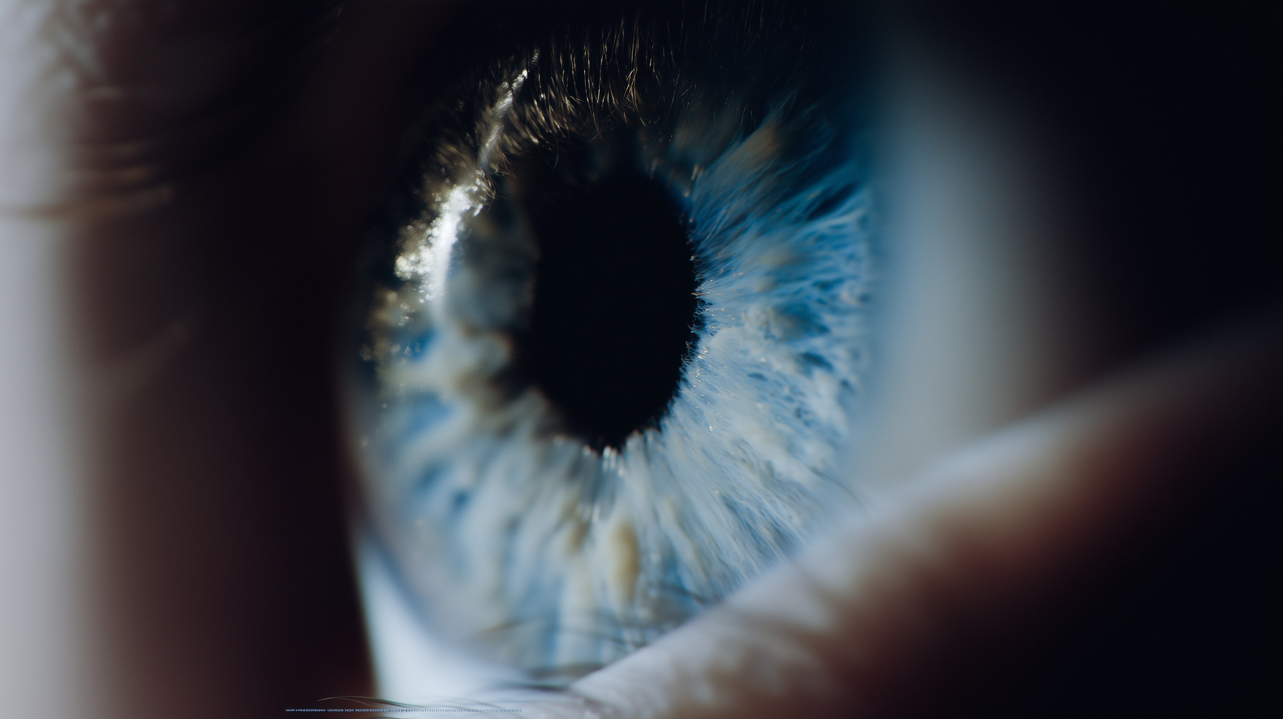 AI. AI — artist | Documentary Photographer St. Petersburg, Milan