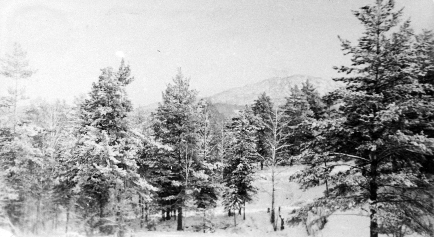 Бригантина 76 на гастролях (1976). Фотограф Эдуард Алмадаков