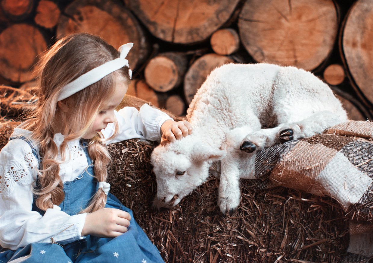 Стоимость аренды животных. Фотограф Лия Милк | Москва, Подмосковье