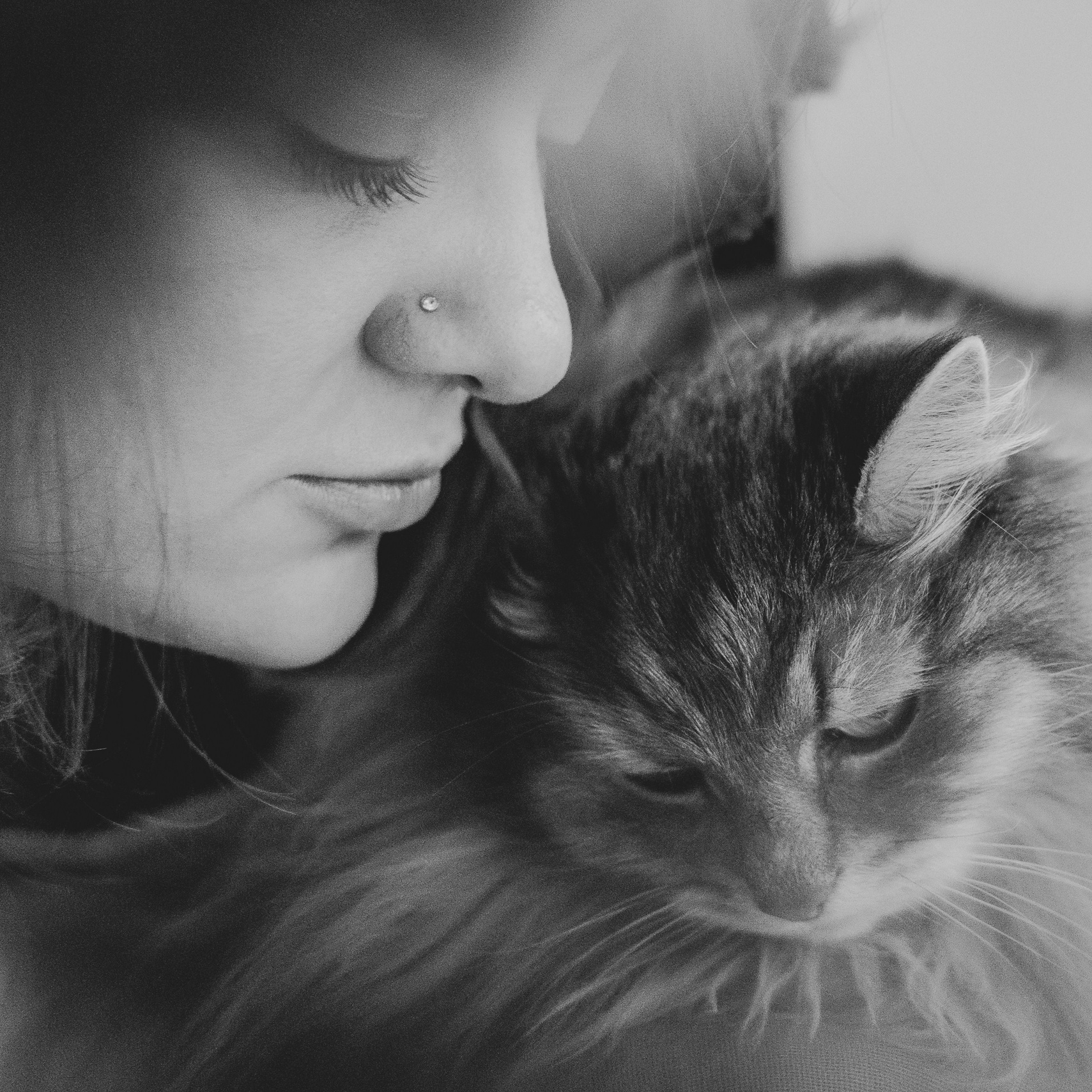 Reviews. Natalia Finch Photography — family and pets photography in Chicago, IL