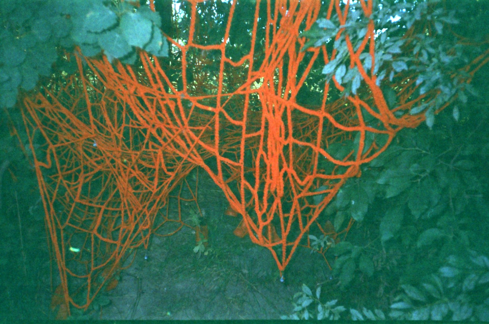 Красненькая биеннале 2023 (СПБ)