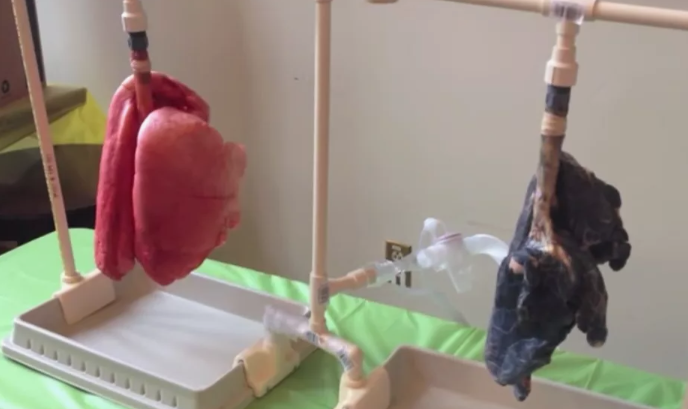 В помощь курильщику или Как бросить курить. Сово-Сово — Омоложение и оздоровление!