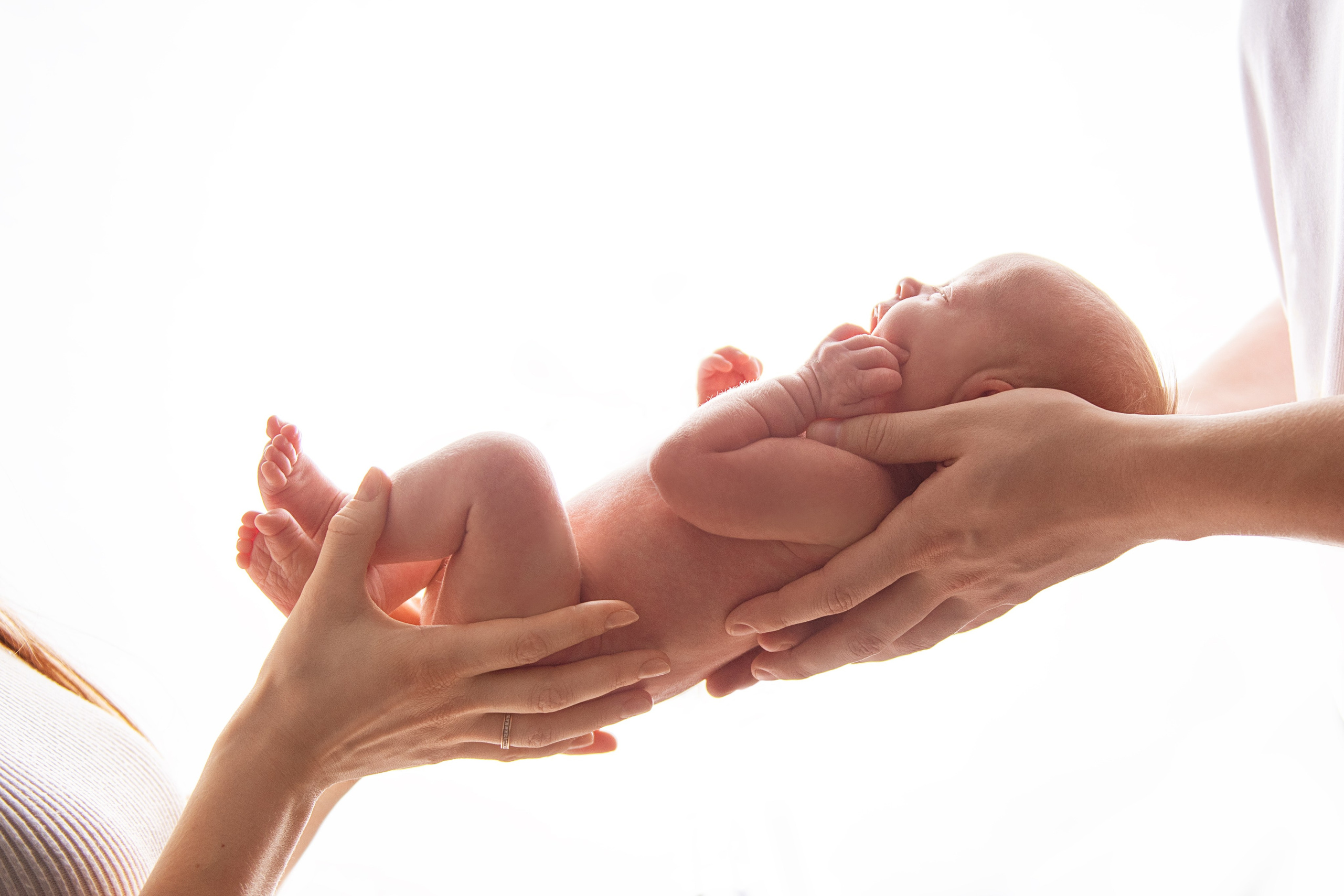 Стоимость. Фотограф дмитров фотограф новорожденных дмитров фотограф москва фотог