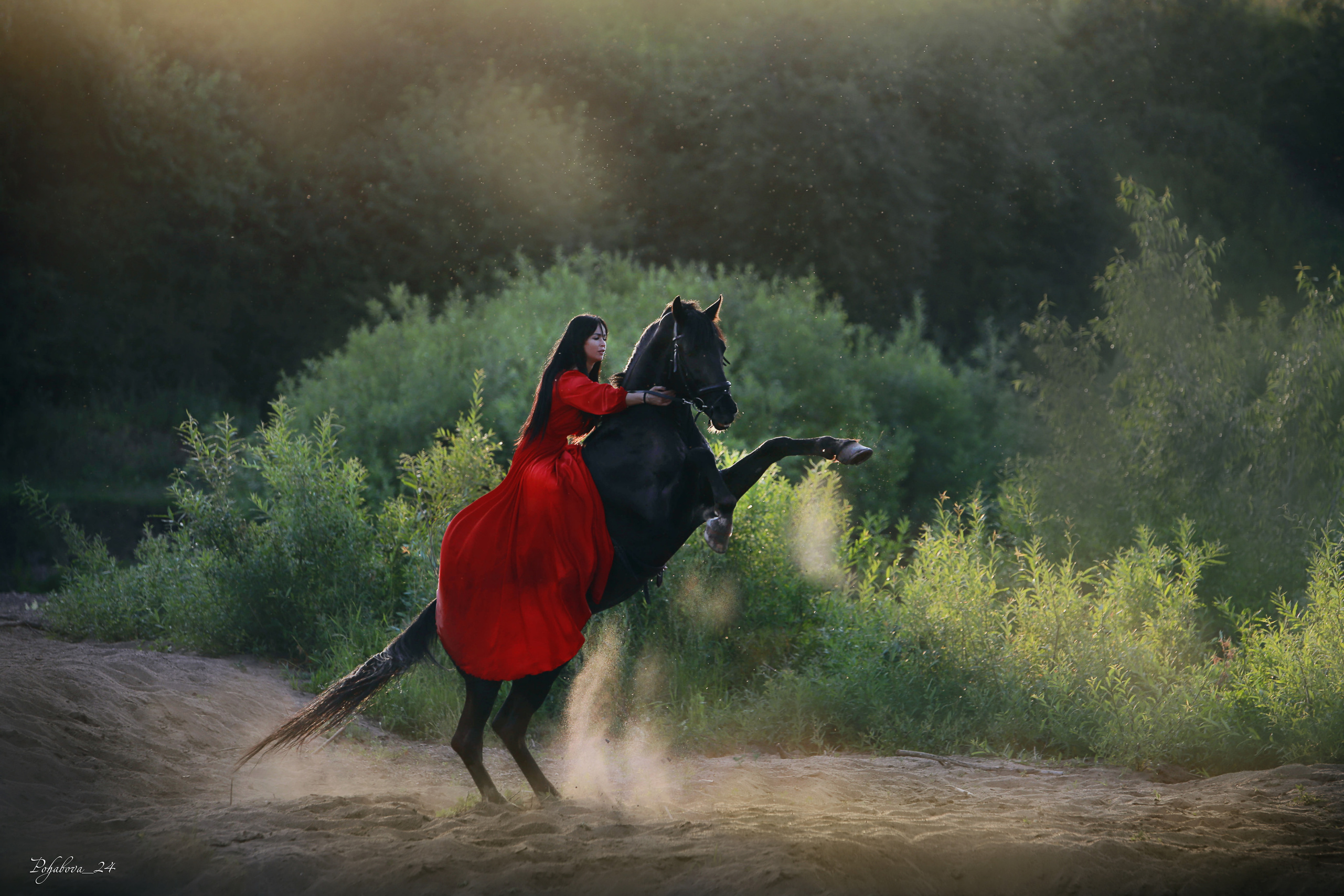Услуги. Конный фотограф в Красноярске — Любовь Похабова