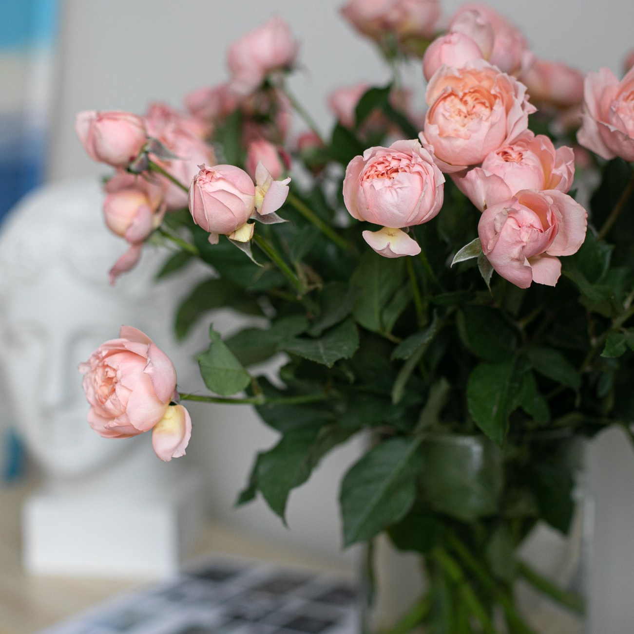 Обучение фотографии в Санкт-Петербурге. Портретный фотограф Мария Шарко Санкт-Петербург и Москва