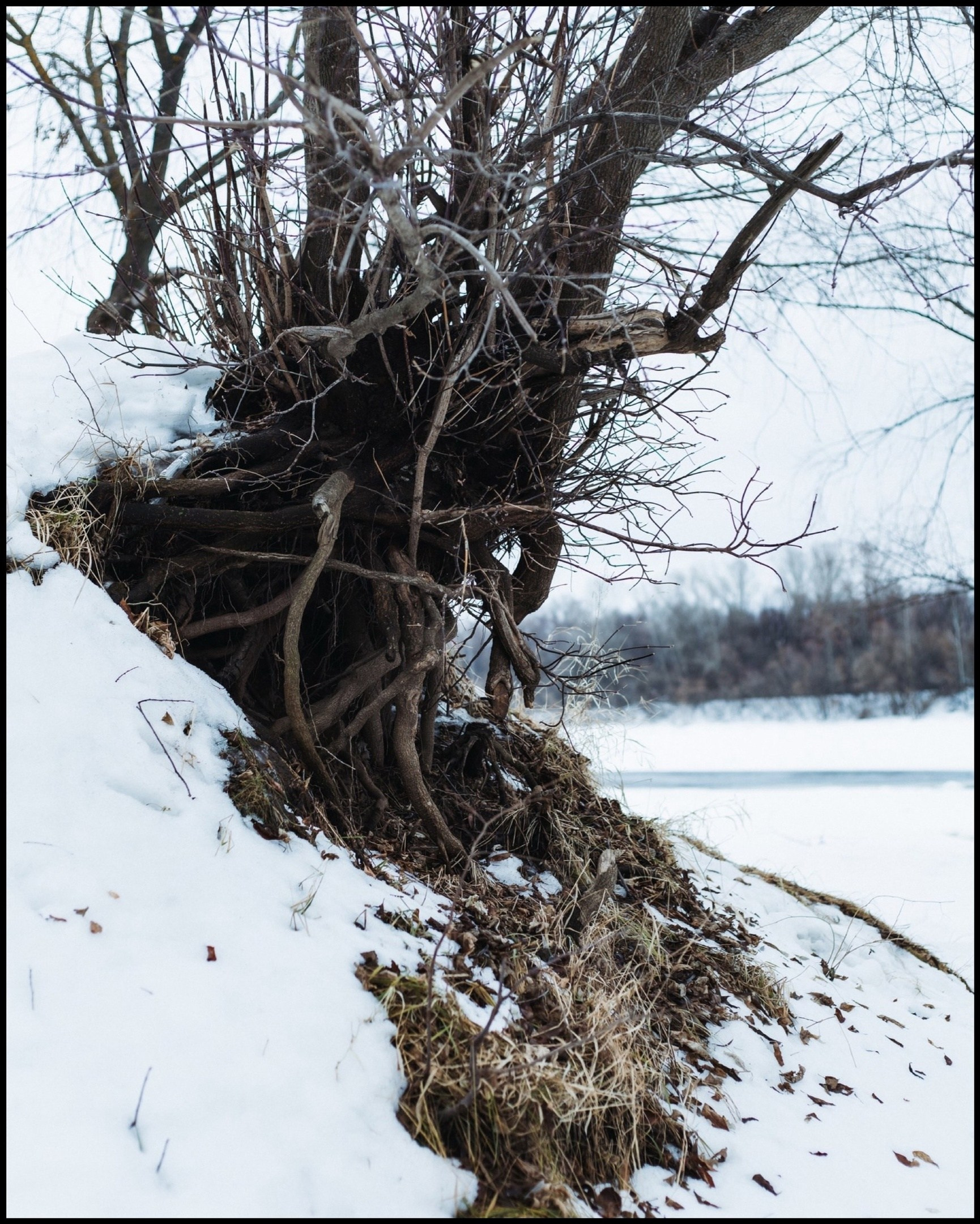 Карина. Фотограф Ксения Меркулова