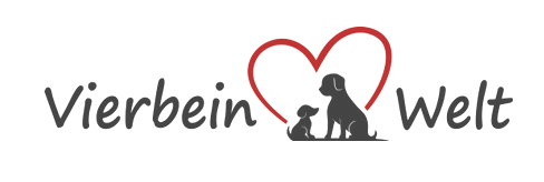 Commercial photography. Фотограф-анималист Аверьянова Анна — Художественная фотосъёмка собак