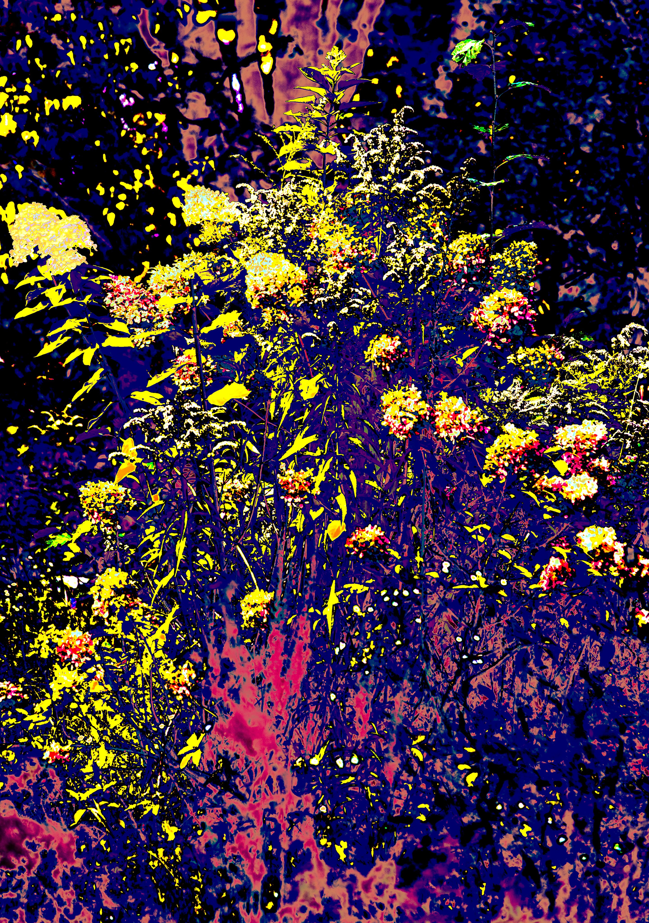 фото проект, фотограф, фотография, обложка для книги, обложка, цвет, цветная фотография, исследование цвета, современное искусство, искусство фотографии, художественная фотография, сюрреализм, art, artist, photo, photographer, photo project, art photography, cover, visual art, picture, color, surrealism