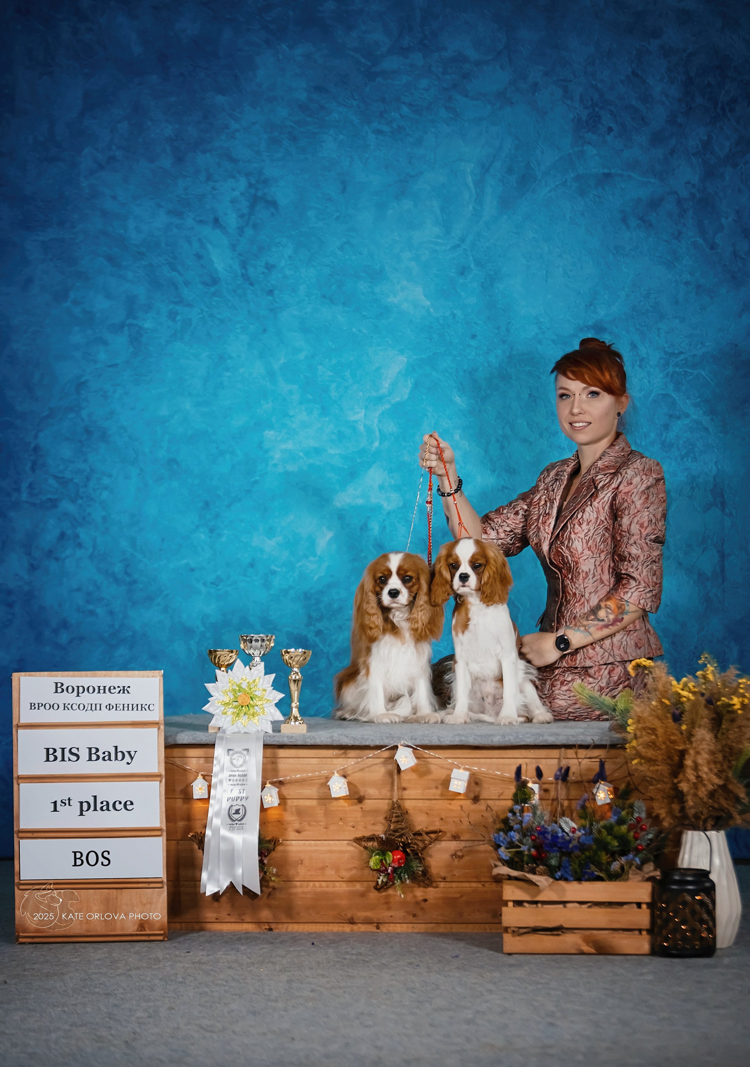 Выставки. Питомник кавалер кинг чарльз спаниелей