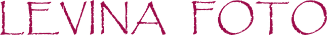 levina-foto.ru