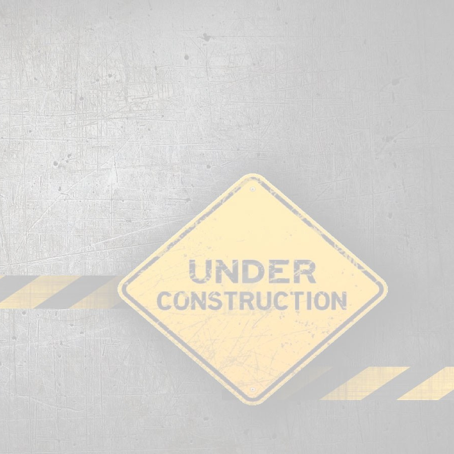 Выставки Музеи Архитектура Храмы. Фотоархив • Портретная съемка