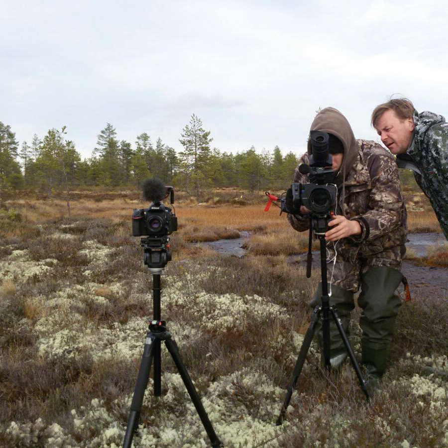 Цены. Степанов Алексей — Фотограф, оператор, монтажер