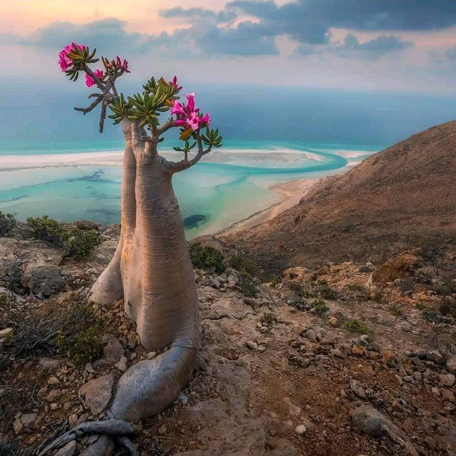 Фототуры по всему миру с фотографом Катериной Орловой. Детский и семейный фотограф в Москве Катерина Орлова