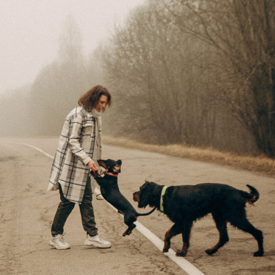 Консультации ОНЛАЙН. Фотограф и Кинолог Ольга Мурзина