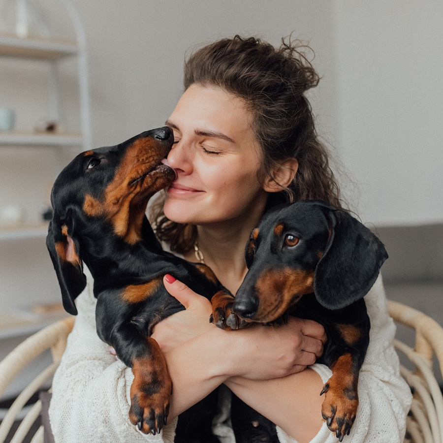 Консультации ОНЛАЙН. Фотограф и Кинолог Ольга Мурзина