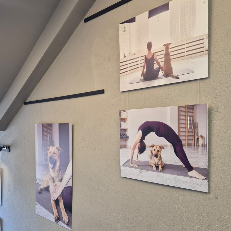 «Вместе здорово!». Фотограф Нижний Новгород Аня Лёзина