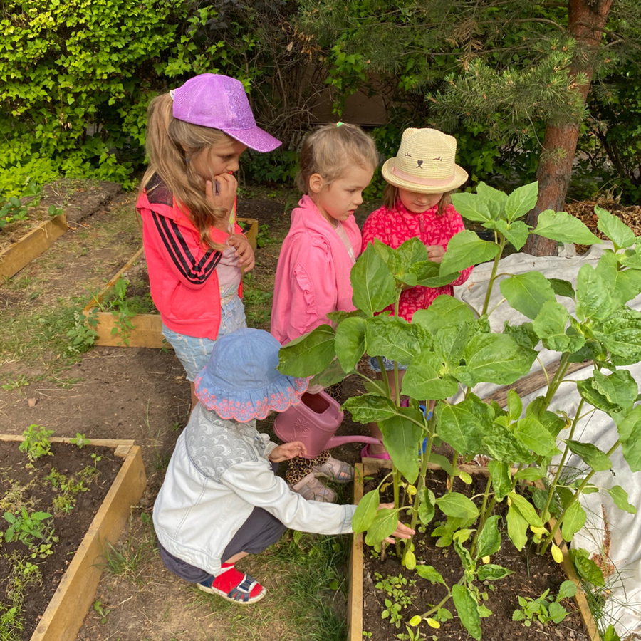МОНТЕССОРИ-САД «ДЕТСТВО»