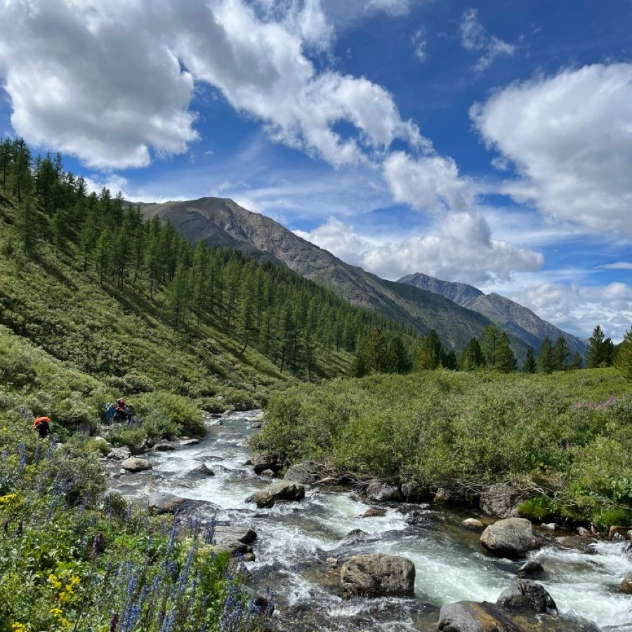 Календарь туров. Bytheway