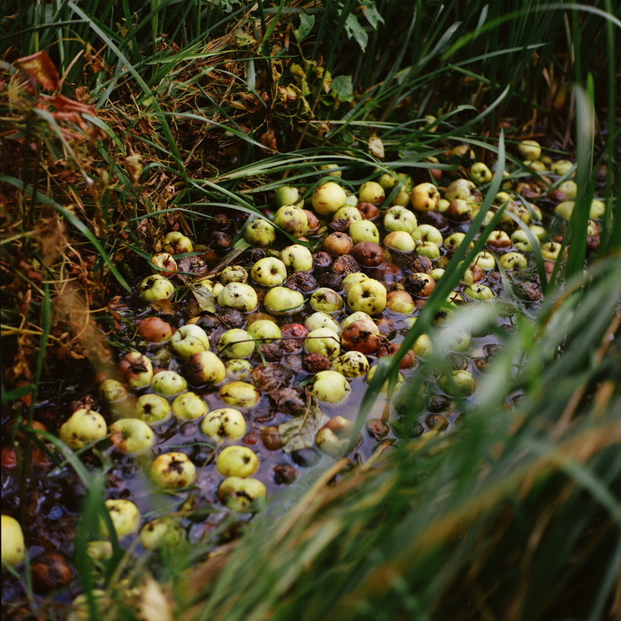 International Biennale of Photography Photovisa 2020. Ekaterina Vasilyeva photographer