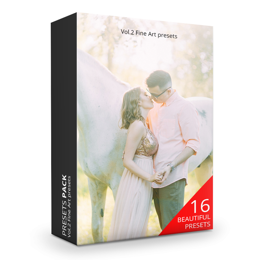 Купить пресеты для лайтрума и луты для фотошопа Fine Art