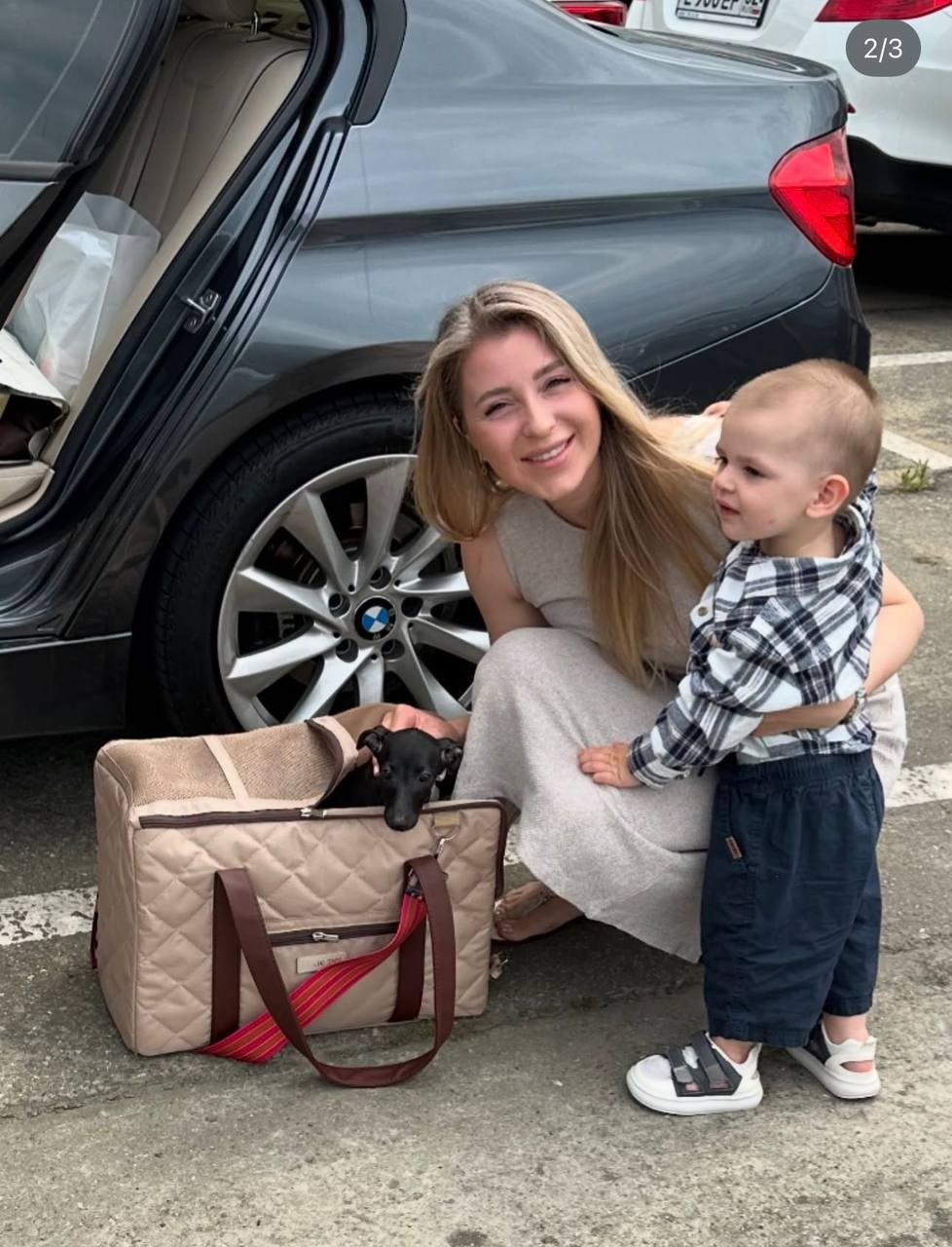 Доставка щенков по всему миру. Профессиональный питомник левреток РКФ/FCI ASTI SAPPHIRE 💎 Сочи|Санкт-Петербург