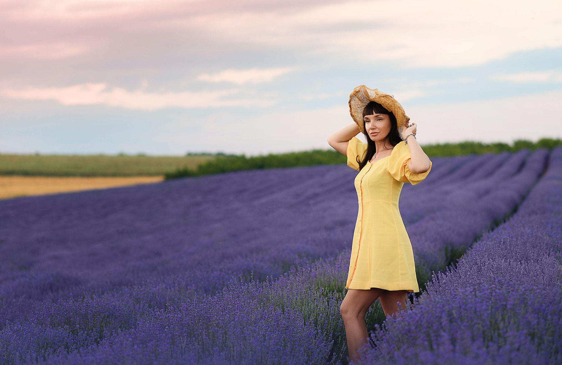 Лавандула в България. Фотограф в Болгарии. Фотограф в Созополе